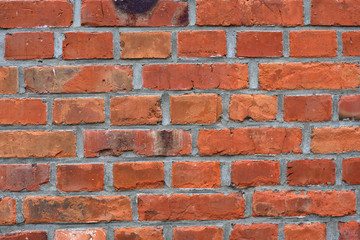 Fototapeta premium mauer