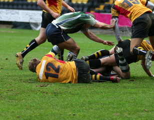 rugby