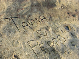 Fototapeta premium love at the beach