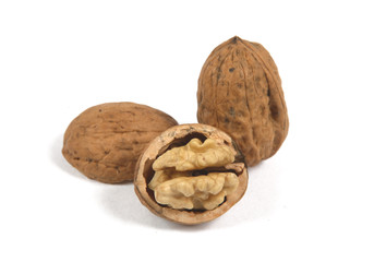 walnut