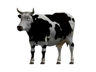 vache moo