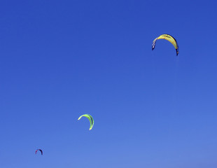 kites