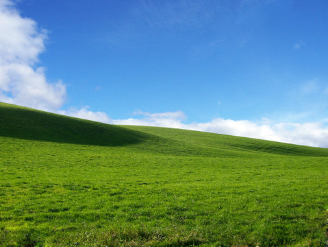 gr&uuml;ne wiese vor blauem himmel