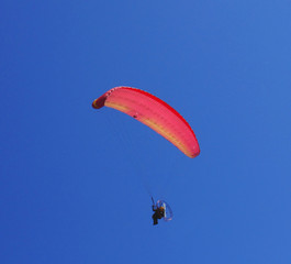 paraglider
