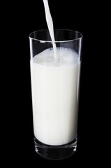 milk