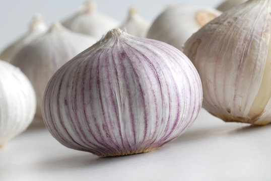 garlic