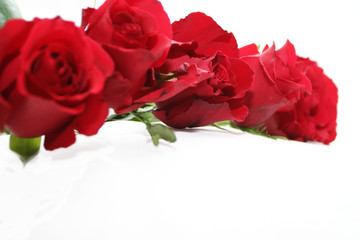red roses garland