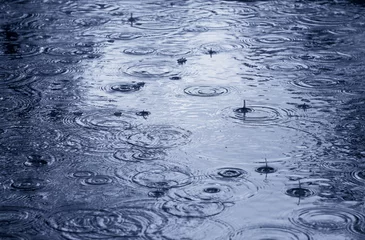 Fotobehang raining © chaossart