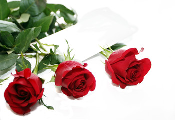 red roses bouquet with  white note