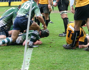 rugby