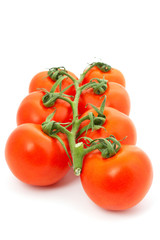 tomatoes on bunch