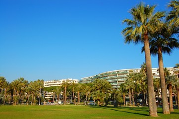 Fototapeta premium jardins de cannes