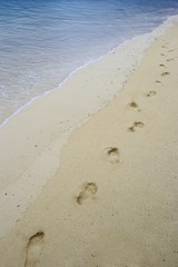footstep on the sand