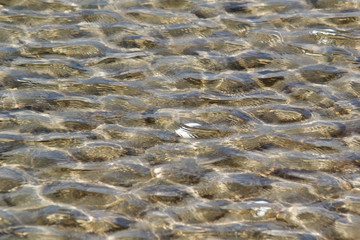 water ripple texture