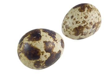 pair of quail eggs