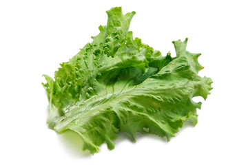 green big fresh salad leaf