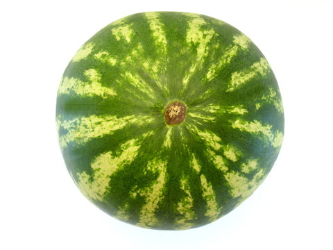 ganze Wassermelone mit weiß-grün gestreifter Schale freigestellt auf weißem Hintergrund