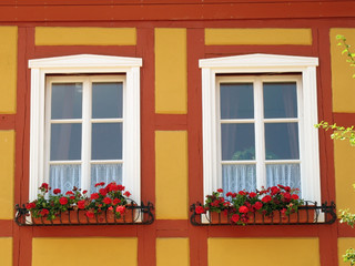 fenster mit geranien