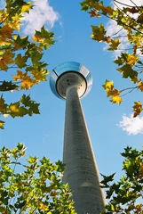 Fotobehang tower im herbst © Dieter Hawlan