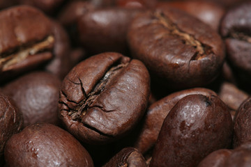 coffee beans