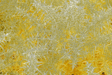 nature extra-terrestre