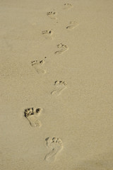 foot prints