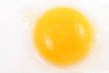 yolk