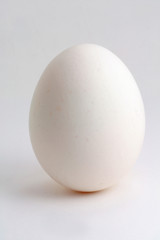 white egg