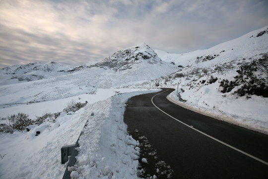 Road To The Snow