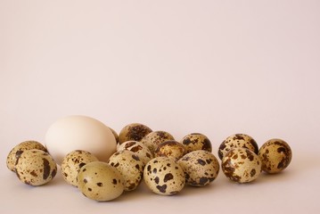 different eggs