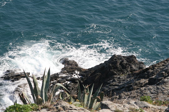 c&ocirc;te bleue