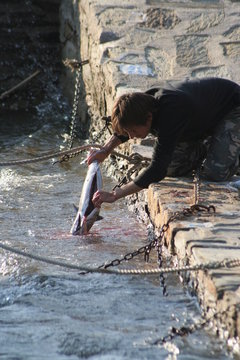 retour de p&ecirc;che
