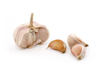 garlic