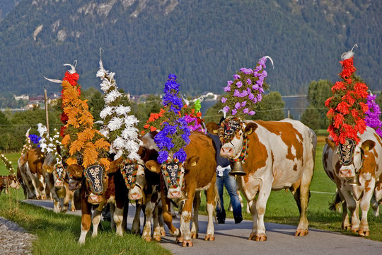 almabtrieb