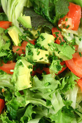 fresh avocado salad