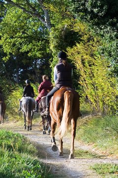 Promenade &agrave; cheval.