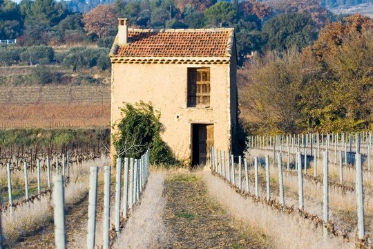 paysage 220