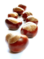 chestnuts