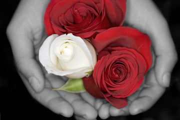 rosen zum valentin