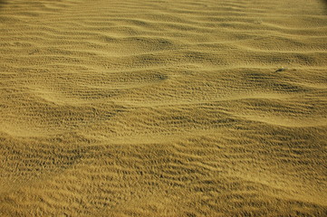 sand in a desert (4)