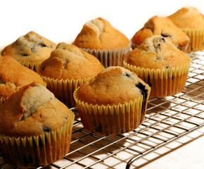 blueberry muffins