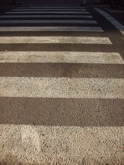 zebra crossing spain