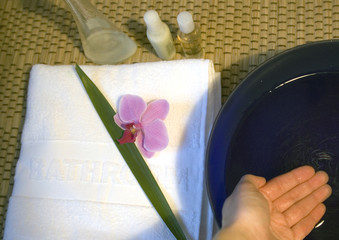 wellness