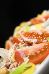 tuna salad