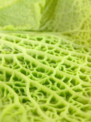 green texture