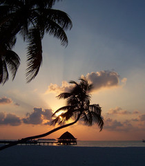 maldivian sunset