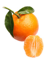 tangerine