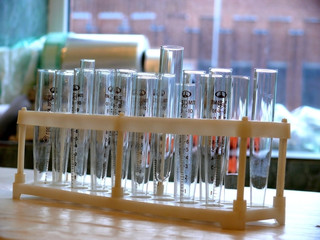 test tubes in the laboratory
