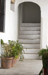 Fototapeta na wymiar escaleras en patio andaluz
