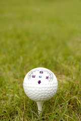 golf ball whit compass